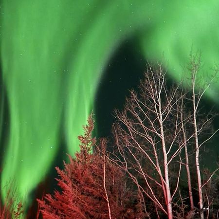 Luxury Northern Light Oasis Fairbanks Exterior foto