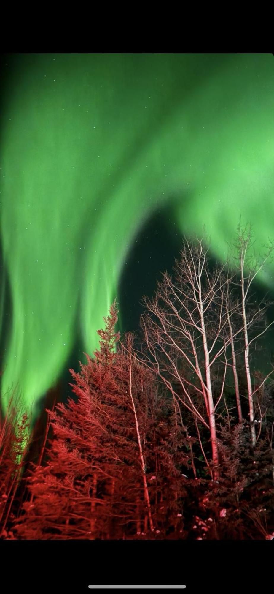Luxury Northern Light Oasis Fairbanks Exterior foto