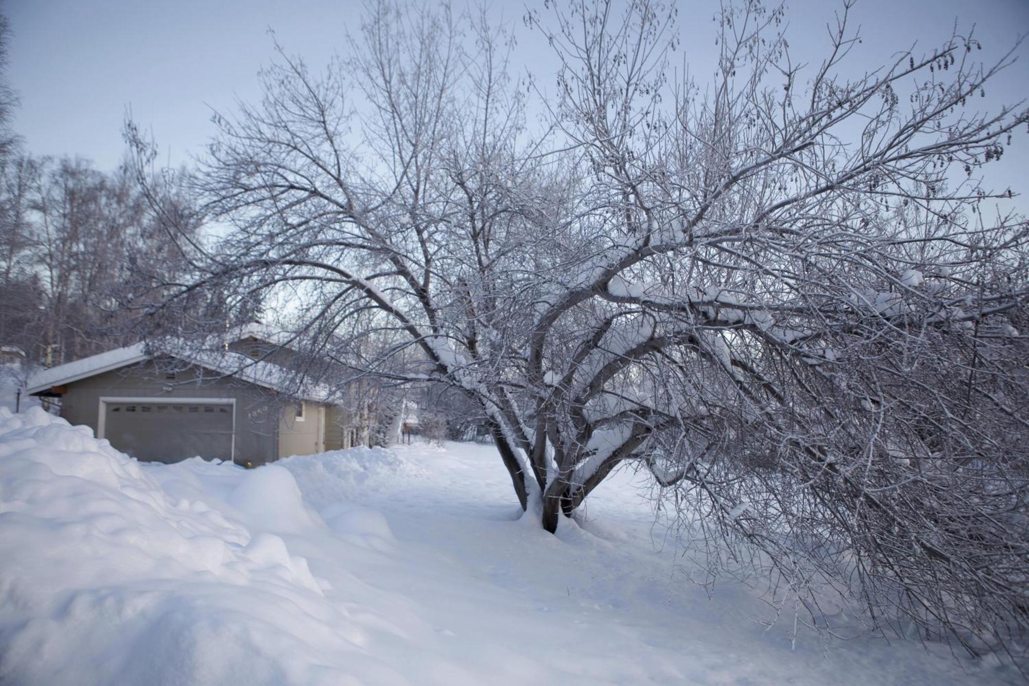 Luxury Northern Light Oasis Fairbanks Exterior foto
