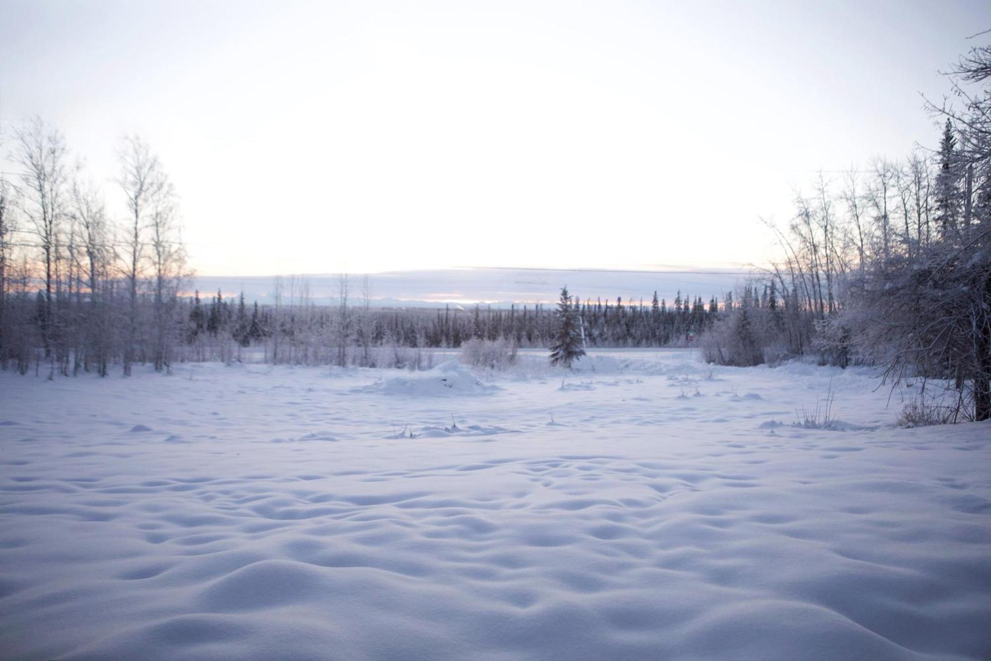 Luxury Northern Light Oasis Fairbanks Exterior foto