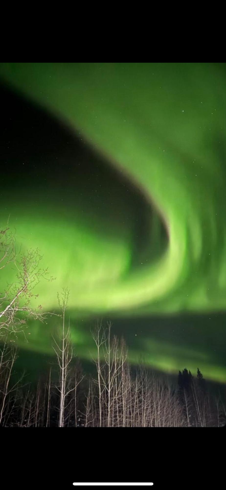 Luxury Northern Light Oasis Fairbanks Exterior foto
